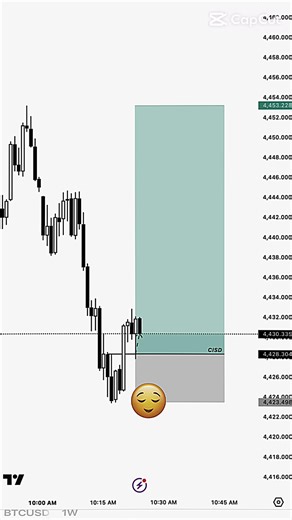 Guess the Model Challenge on TikTok