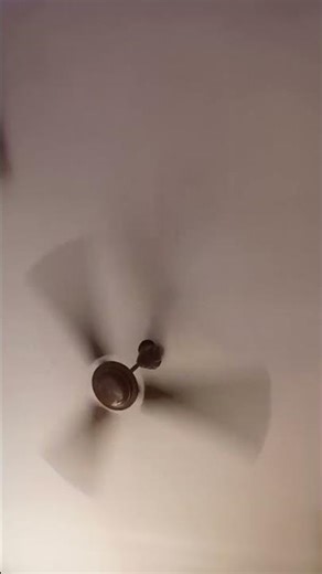 #pankha #funny #lifeisbutadream #comedy #ihavethisthingwithplants #unfrezzmyaccount #jokes #illusion