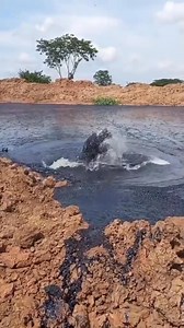 206K views · 1.7K reactions | Petroleum Seep Explained  #factsyoudidntknow #machine #facts | Mega moments | Facebook