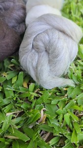 Kondoos Needle Felting Wool roving, Great for Arts & Crafts, DIY Projects & Easy for Beginners. 4 Natural Colors, 6oz.