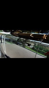 41 reactions | 2023 Range Rover Interior and Exterior Details ✔️ | Range Rover Sport | Facebook