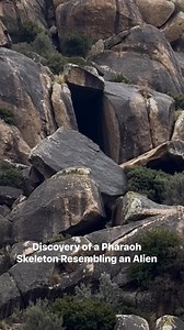 1.6M views · 15K reactions | Treasure Hunter Discovers Alien-Like Pharaoh Skeleton and Precious Treasures in Pharaoh's Rock Tomb #hunter #discovers #alien #pharaoh #treasure | Defineye Giden Yol - The way to The Treasure | Facebook