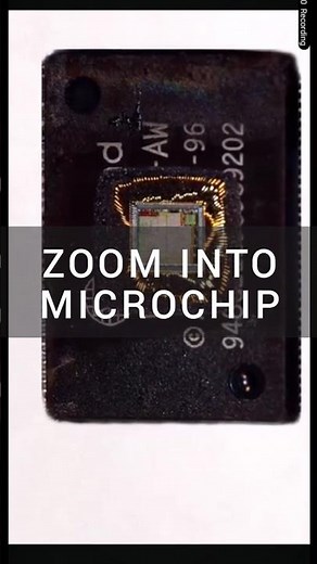 Zoom Into MicroChip 🔎