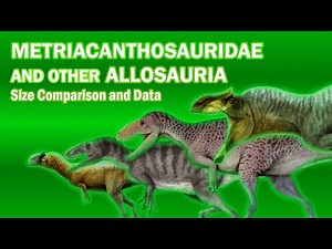 METRICANTHOSAURIDAE AND OTHER ALLOSAURIA : Dinosaurs Size Comparison and Data