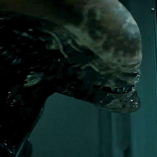 mayur on Instagram: "please follow A breakthrough moment in Alien Earth! 🌌 Marcy finally establishes contact with the extraterrestrial beings — but what will this mean for humanity? 😱 #AlienEarth #Alien #SciFi #Thriller #TVShow #Xenomorph #Cinematic #MovieClip #Shorts #FYP #Viral #Exploration #FirstContact #AlienCommunication #SpaceHorror #ScienceFiction #FilmEdit #EpicMoment #AlienUniverse #TVSeries #CreepyMoments"