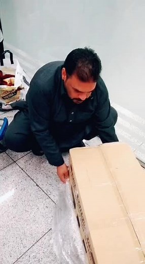 Handling a Large Cardboard Box: A Playful Showcase