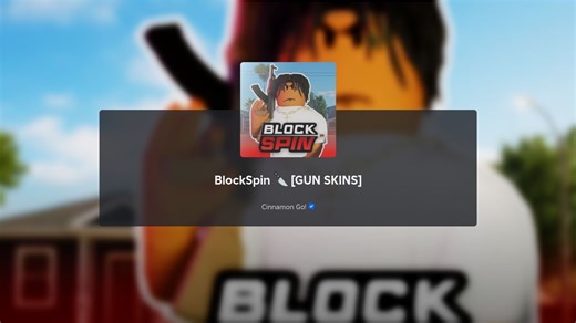 BlockSpin: A beginner's guide