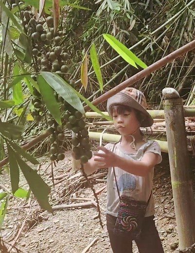 Poor girl catch big fish | The Pombing Vide