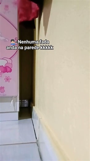 Agente anda sim na parede!! 🧚🏻‍♀️🧚🏻‍♀️💕🫶🏻🫶🏻 #fadinhas #fada #naoflopa #naoflopaa