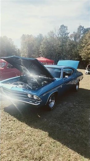 1969 Chevy Chevelle, I Love The Way This Car Looks. Engines Looks Fantastic