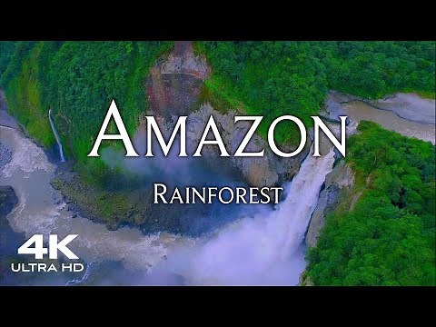 AMAZON Rainforest in 4K 🇧🇷 World's Largest Tropical Forest 🌴 Aerial Drone Amazonas