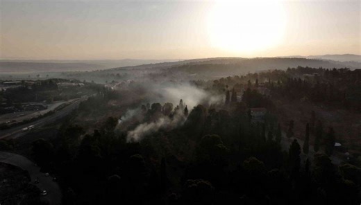 Study reveals global decline in forest recovery after wildfires