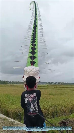 Kite Flying: Launching a Massive Dragon Kite