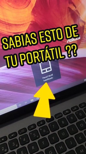 TouchPad, panel táctil