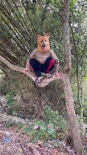 Chú chó dễ thương nhảy cao - Cute dog jumping high #shorts