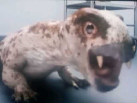 Primeval (2011) voice Dee Bradley Baker as Diictodon