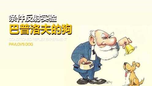 高清1080P在线观看平台_腾讯视频