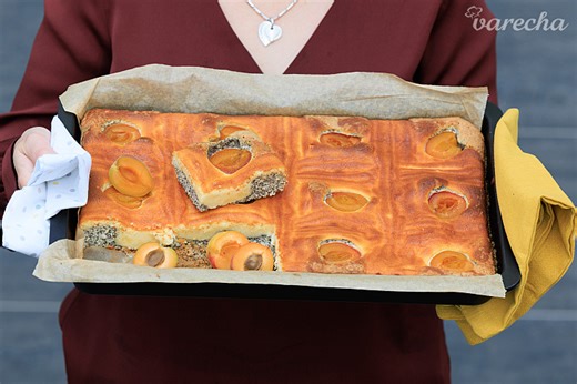 Makovo-tvarohový koláč s marhuľami (videorecept)