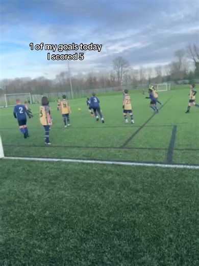 Achieving My Goals: 1 of 5 Completed