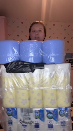 Bulk Buy Toilet Rolls and Cleaning Supplies Bundle