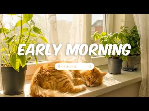 Early Morning 🌞 Soft Chill Vibes For Quiet Early Morning Moments