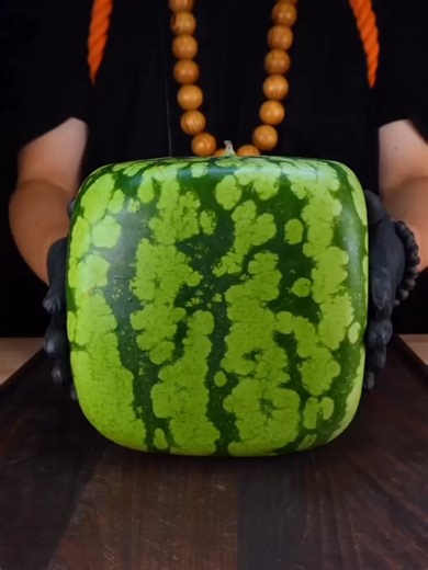 Easy and Delicious Cooking Recipe for Beginners