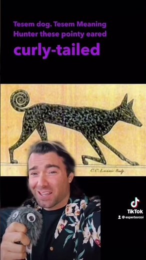 Extinct Dog Breeds - Ep 6 - TESEM DOG #learning #egypt #dogs #history #dogbreeds #extinct #basenji