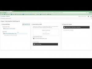 Excel Module 02 SAM Project 1b Made Easy | Edgerton-Norris Tutorial Shelly Cashman