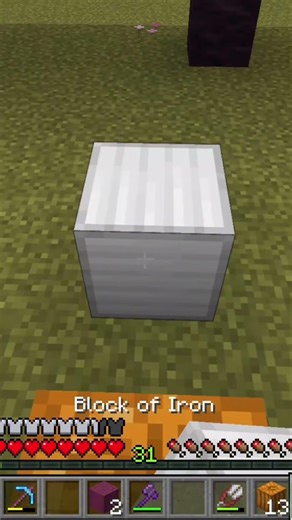 Making an iron Golem in #minecraft to protect my flower village