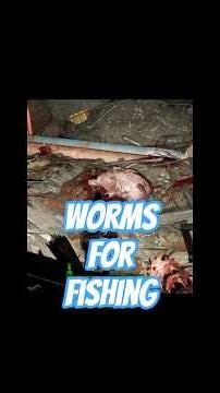 let's go fishing after this,, #fallout4