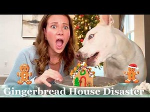 Letting my Dog Build a Gingerbread House Gone Wrong