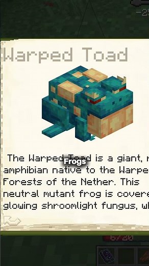 Solo leveling ModPack