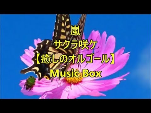 嵐 サクラ咲ケ 【癒しのオルゴール】 Music Box