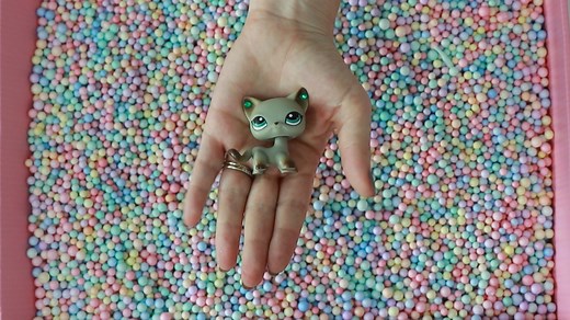 Watch lps shorthair cat 391 on Amazon Live