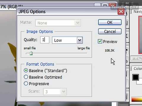 Save an Image as a JPEG in Photoshop CS3