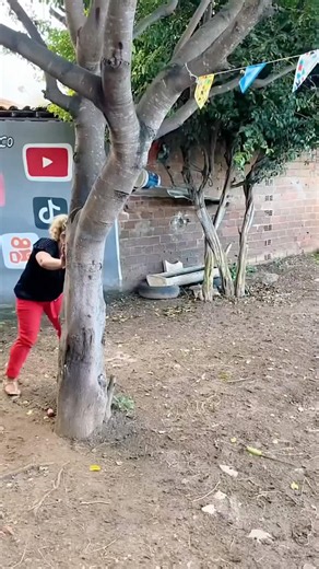 Angry goat losing its mind#AngryGoat#MadGoat#FunnyClips