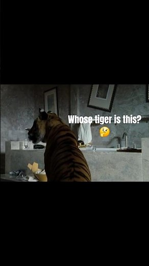 Waking Up To THIS?! 😱 Tiger in the Bathroom! #Hangover