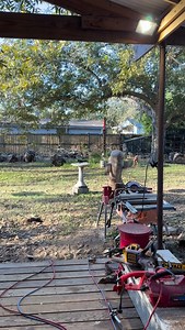 Boat Tail Grackles love baths and Fugazi at sunrise! | Joe Adams