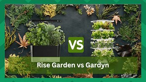 Rise Gardens vs Gardyn Growing System: Which One Is Better? - Farmer Grows