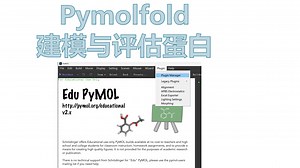 pymolFold插件-建模结构评估