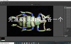 Helicon Focus BC修饰 WeMacro
