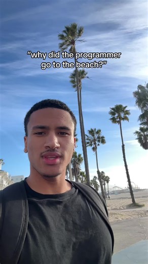 Why Programmers Love the Beach: A Humorous Take