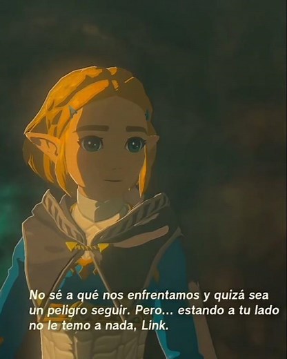 Link and Zelda #zelda #nintendo #zeldabotw #totk #nintendoswitch #zeldabotw