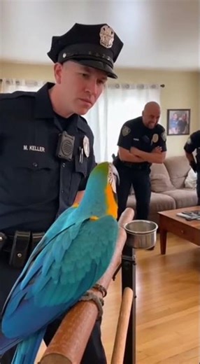 Parrot Really Outsmart a Cop During Interrogation 😂🦜