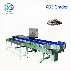 [Hot Item] Tilapia Sorting Machine, Automatic Fish Weight Grading Equipment