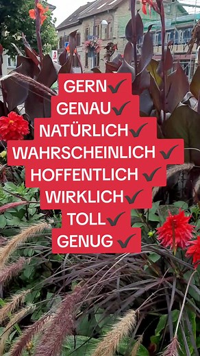 #учимнемецкий #deutschland #deutsch #integrationkurs #а2 #b1 #