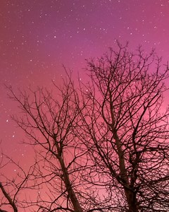 Here's a short time-lapse video of the Northern Lights from Friday night. The camera took over 1100 shots, and the lens heater was also plugged into the same battery. It was a pretty amazing night! | Michael J Bauer Photography