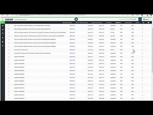 Saner CVEM: How to Update Firmware and Rollback Any Patches Deployed?
