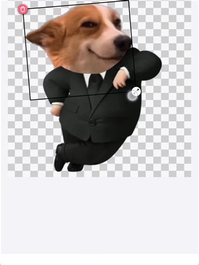 Discover Free Stickers in One App