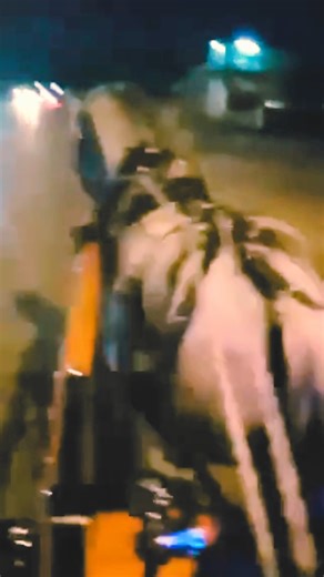 14K views · 612 reactions | El Moro no solo anda bien Montado, enganchado en una araña hay que decirle "Papa". Compraciendo peticiones. #elmaspurorodeocubano #rodeocubano #seguimostraslahistoria #caballos #horses #rodeo #MVP #footballseason #rodeouniversity #yellowstone #NASA #traveltips #crackerbarrel ##highschoolsports | El Mas Puro Rodeo Cubano | Facebook